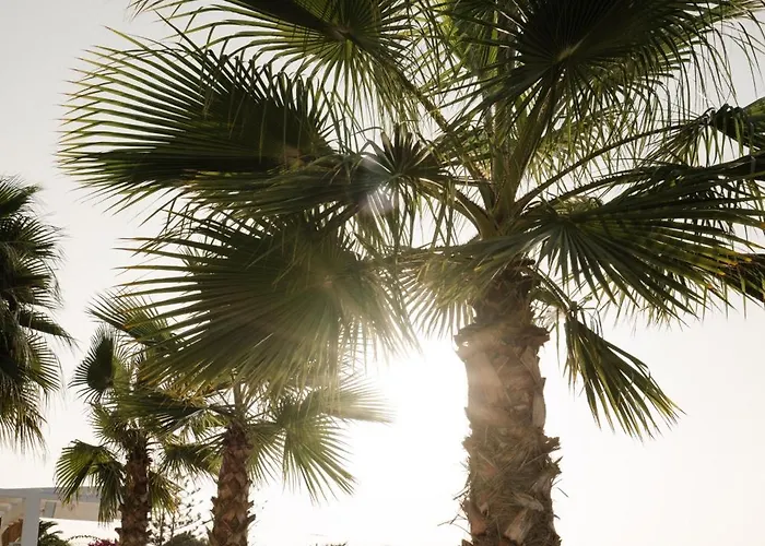 White Dunes Luxury Boutique