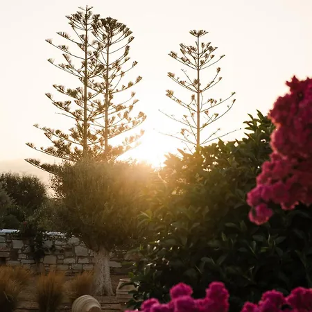 White Dunes Luxury Boutique 5* Santa Maria (Paros)