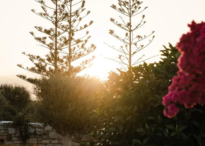 White Dunes Luxury Boutique 5* Santa Maria (Paros)