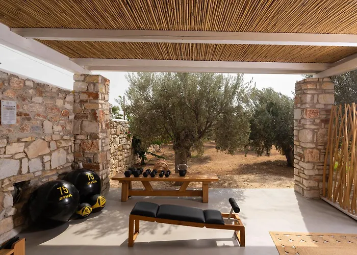 White Dunes Luxury Boutique Hotel Santa Maria (Paros)