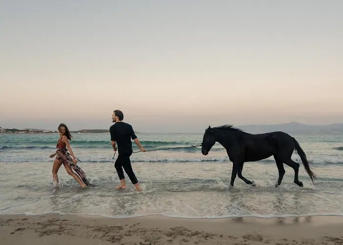 White Dunes Luxury Boutique 5* Santa Maria (Paros)