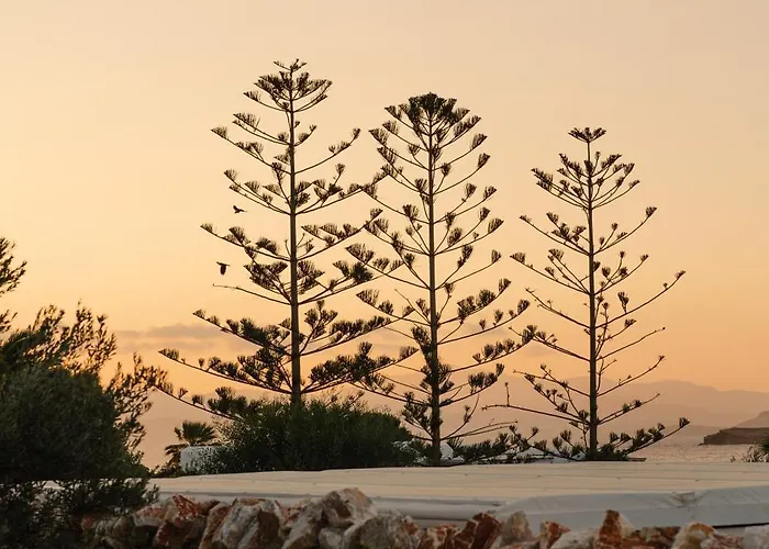 White Dunes Luxury Boutique Ξενοδοχείο